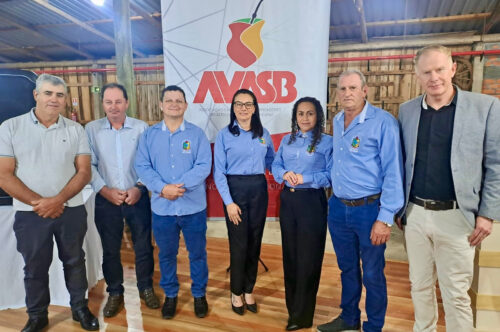 Câmara de Vereadores de Ibirapuitã participa de reunião da AVASB em Tio Hugo